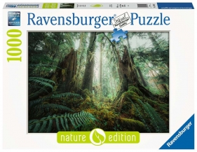 Ravensburger, Puzzle 1000: Lasy (17494)