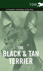 The Black and Tan Terrier - A Complete Anthology of the Dog -