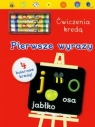 Pierwsze wyrazy ćwiczenia kredą