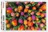 Puzzle 1000: Tulipany (5539)