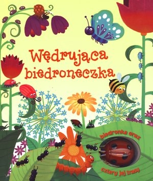 Wędrująca biedroneczka. Biedronka oraz cztery jej trasy