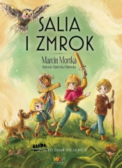 Salia i Zmrok - Marcin Mortka