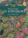 Wilgotne lasy równikowe