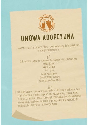 Jaś Wiadomy zmienia świat - Marcin Pałasz