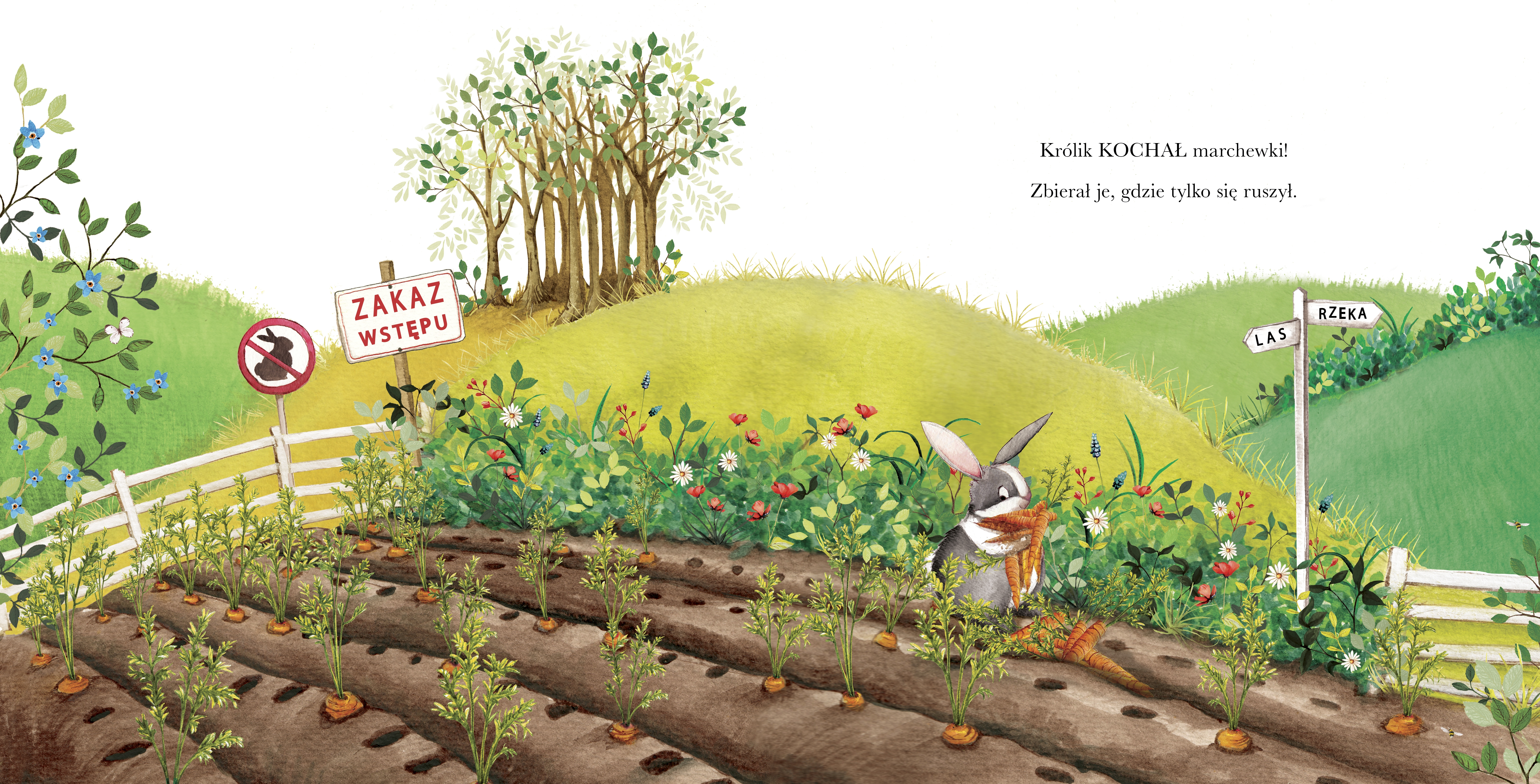 <img src='https://webimage.pl/pics/944/3/d9788324183944---1.jpg'>