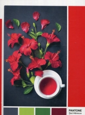 Puzzle 1000: Pantone Red Hibiscus Aroma
