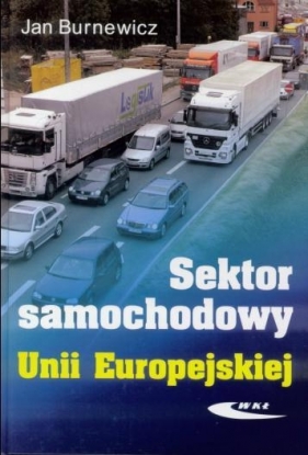 Sektor samochodowy Unii Europejskiej - Burnewicz Jan