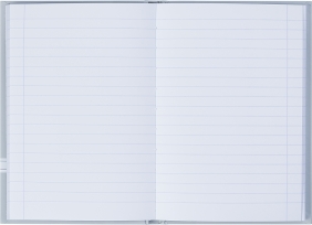 Brulion Esse A5/96k Linia, 1 szt. (400174962)