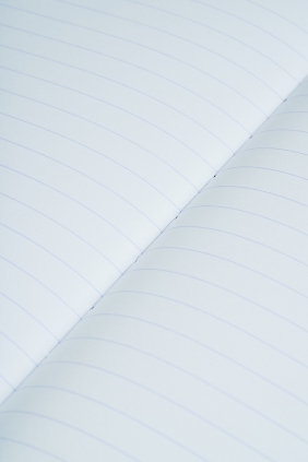 Brulion Esse A5/96k Linia, 1 szt. (400174962)