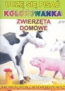 Uczę się pisać. Kolorowanka. Zwierzęta domowe Praca zbiorowa