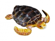 Żółw Karetta (88094)