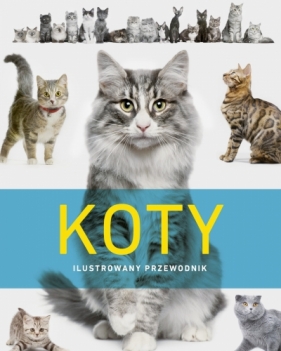 Koty - Praca zbiorowa
