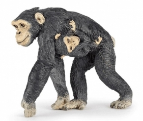 Szympansica z młodym
