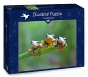 Bluebird Puzzle 500: Żaby (70294)
