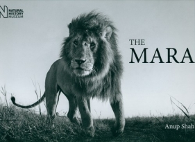 The Mara - Anup Shah