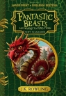  Fantastic Beasts and Where to Find ThemNewt Scamander
