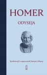 Odyseja Homer