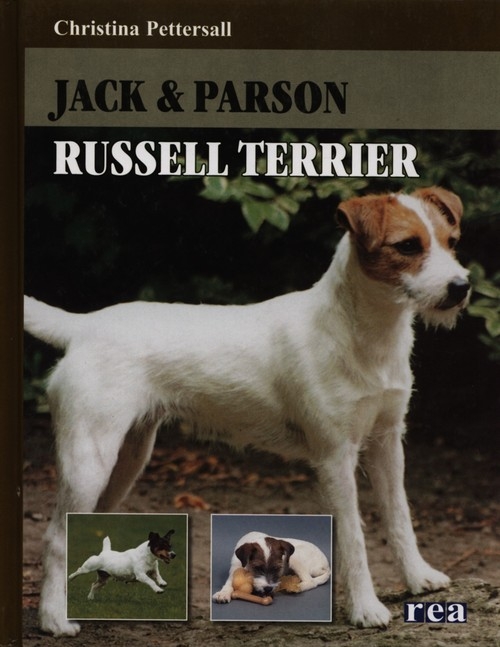 Jack & Parson Russell terrier