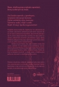 Katedra - wydanie graficzne - Jacek Dukaj