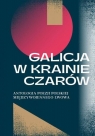 Galicja w krainie czarów Antologia poezji polskiej międzywojennego Lwowa Katarzyna Sadkowska