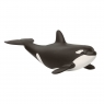 Schleich Wild Life, Młoda orka (SLH14836)