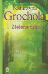 Zielone drzwi Katarzyna Grochola