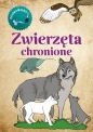 Zwierzęta chronione. Kolorowanka - Katarzyna Kopiec-Sekieta
