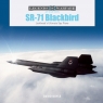 SR-71 Blackbird David Doyle
