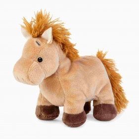 Przyjaciel niebieskiego noska - Kucyk Dancer