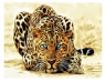  Diamentowa mozaika - Leopard (NO-1007294)od 3 lat