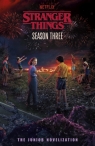 Stranger Things: Season Three Matthew J. Gilbert, Stranger Things