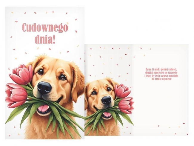 <img src='https://webimage.pl/pics/948/0/d8595724450948.jpg'>