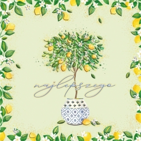 Karnet KW Drzewko cytrynowe