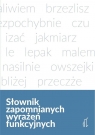 Słownik zapomnianych wyrażeń funkcyjnych Radosław Pawelec