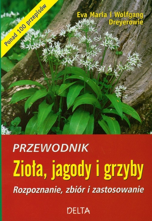 Zioła jagody i grzyby Przewodnik