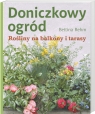 Doniczkowy ogród Rośliny na balkony i tarasy Rehm Bettina