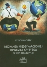 Mechanizm międzynarodowej transmisji kryzysów gospodarczych Mazurek Szymon