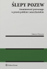  Ślepy pozew. Anonimowość pozwanego w prawie polskim i amerykańskim