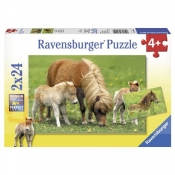 RAVEN. 2X24 EL. Cudowne Koniki Pony (089949)