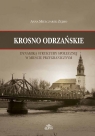 Krosno Odrzańskie Dynamika struktury społecznej w mieście Mielczarek-Żejmo Anna