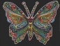 Kolorowanka Welwetowa Colorvelvet A4 Motyl