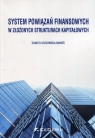 System powiązań finansowych w złożonych strukturach kapitałowych Kozłowska-Makóś Danuta