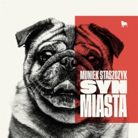 Syn miasta