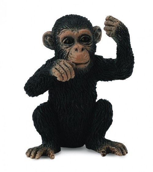 Szympans młody myślący S (88495)