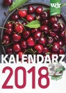 Kalendarz 2018 Kevin Prenger