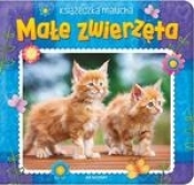 Małe zwierzęta. Książeczka malucha - Opracowanie zbiorowe