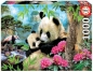 Puzzle 1000 elementów Panda o poranku (17995)