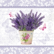 Serwetki Flowering Lavender K SDC077500 - SDL077600