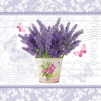 Serwetki Flowering Lavender K SDC077500