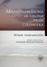 Międzynarodowa ochrona praw człowieka. Wybór dokumentów